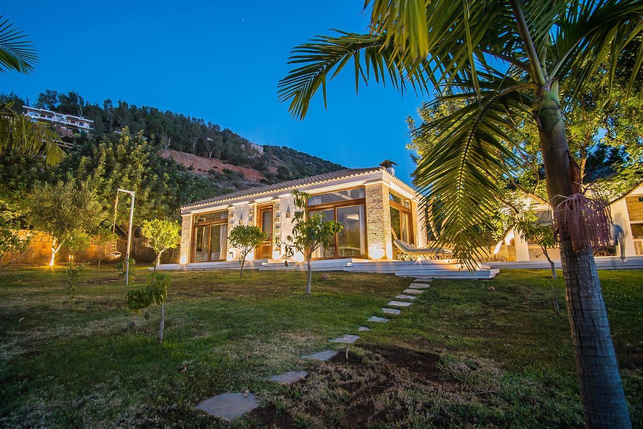 Villa Icons Sea Of Crete Malia Exterior foto